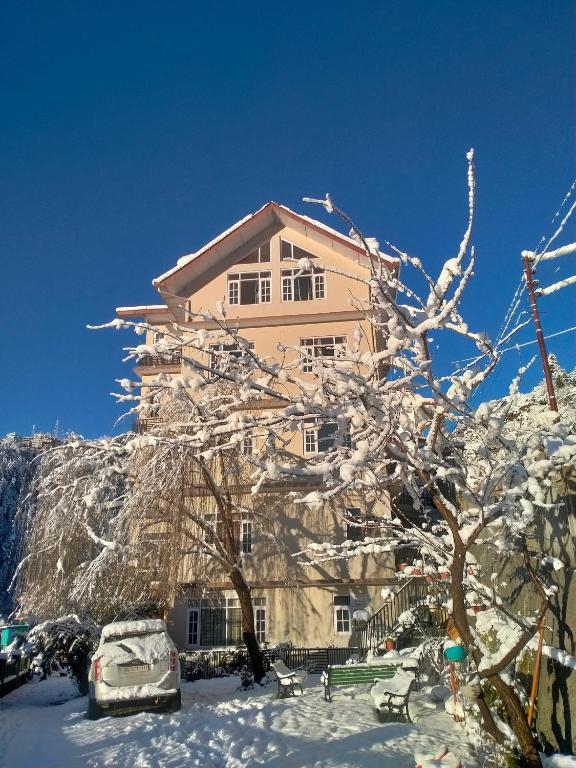 SAI COTTAGE SHIMLA x Solis Nature