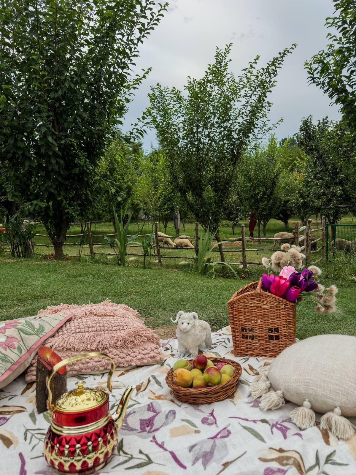 Cottage In Srinagar x Solis Nature