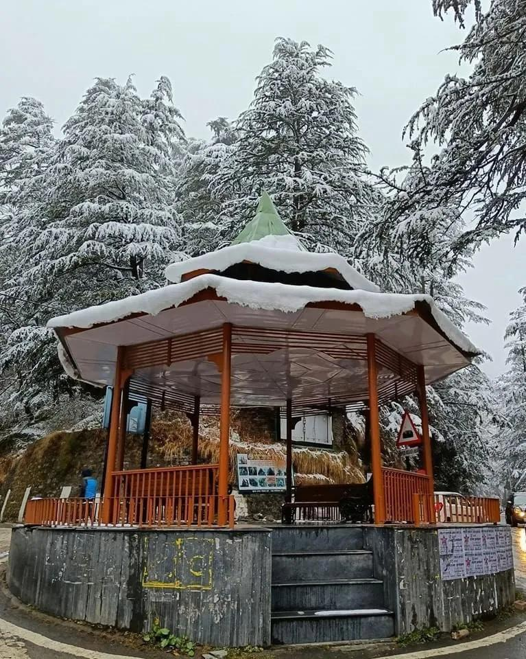 The Kaisha Himalayan View x Solis Nature