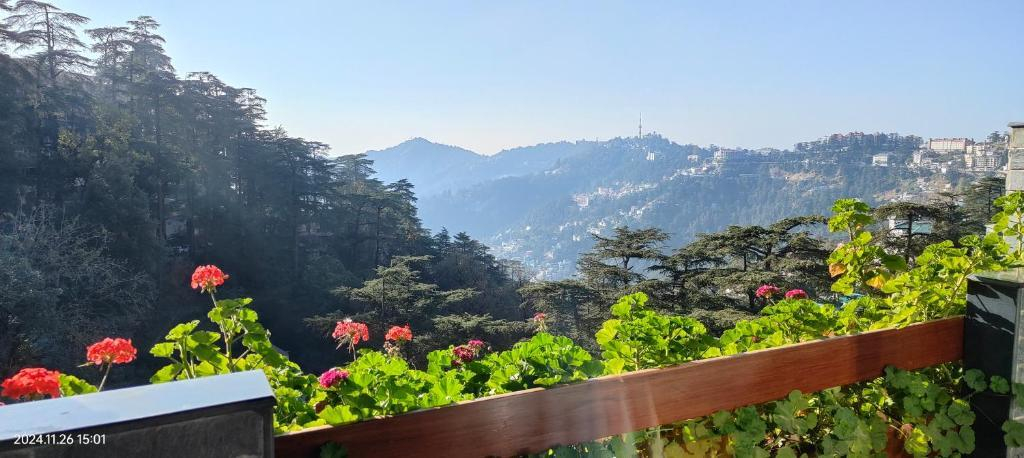 Hotel Marina Shimla x Solis Nature