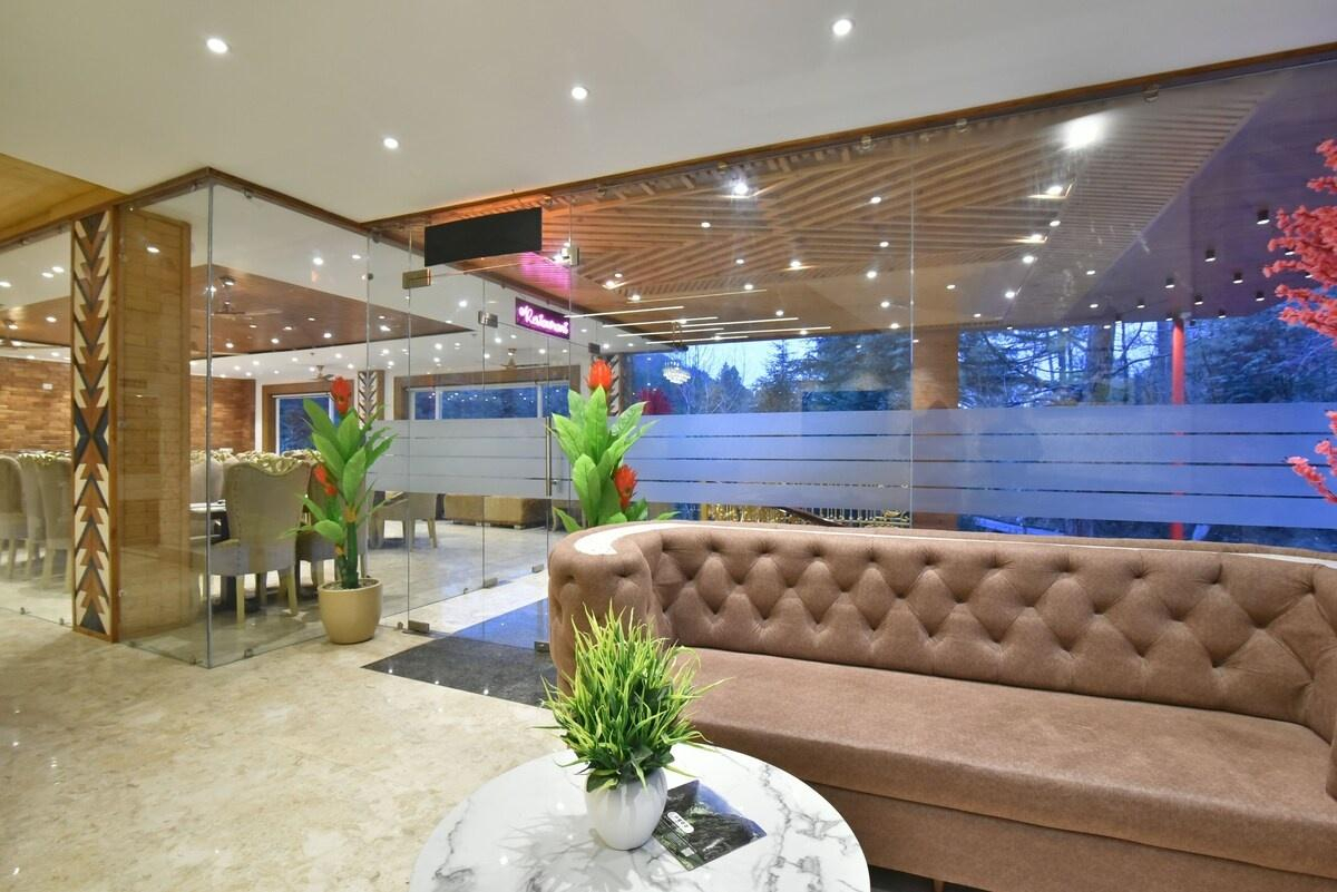 DLS Ark Holiday Inn x Solis Nature