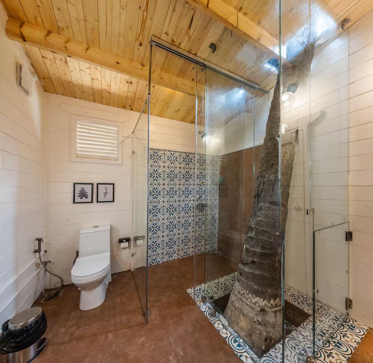 Luxury room on Morjim beach x Solis Nature