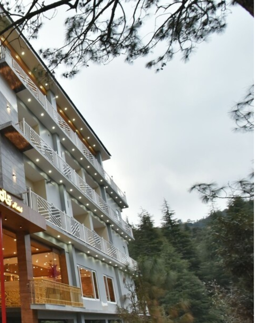 DLS Ark Holiday Inn x Solis Nature
