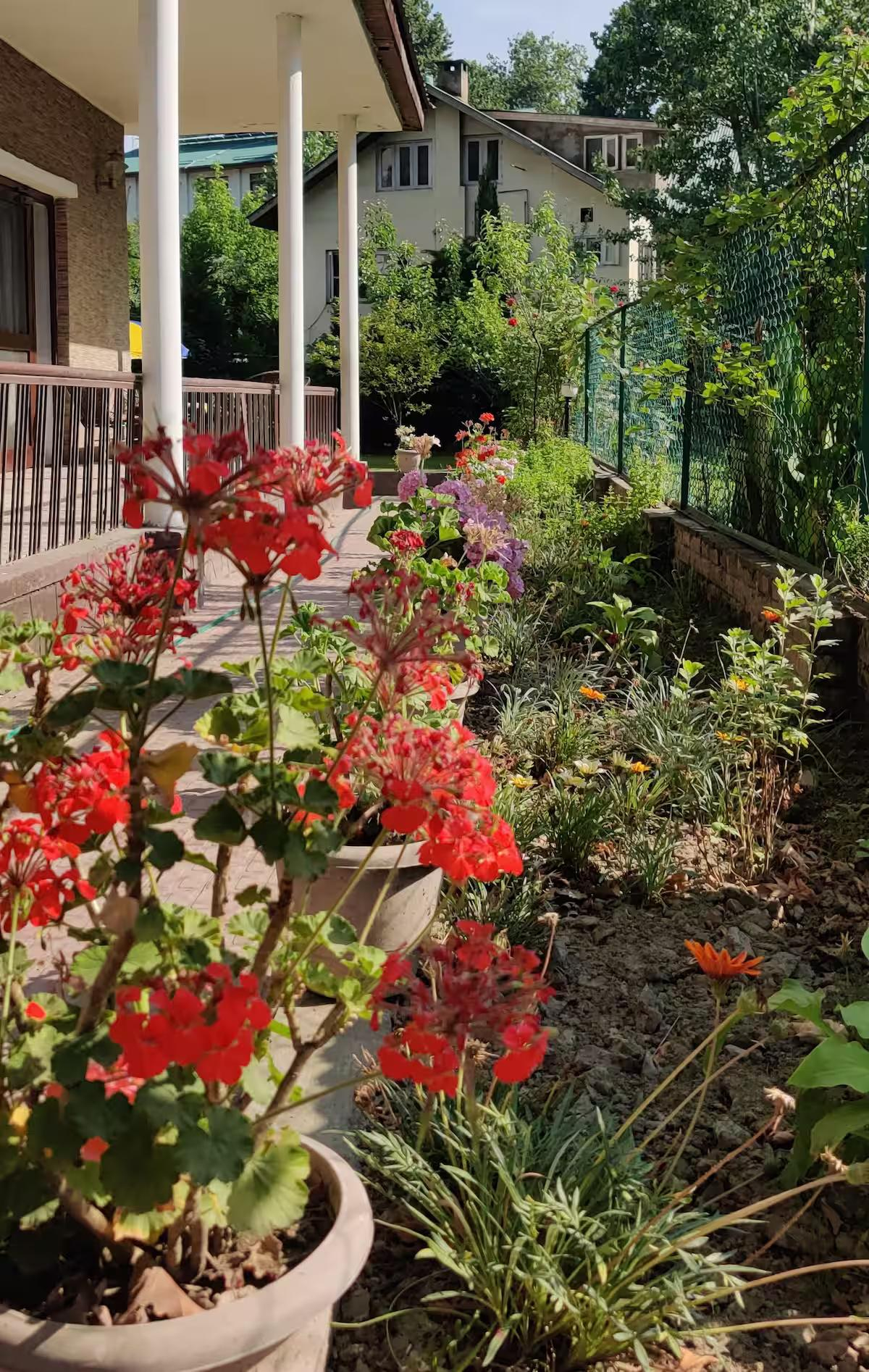 Wazir House Srinagar x Solis Nature