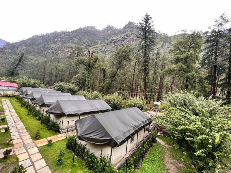 North Deodar Camps, Kasol x Solis Nature