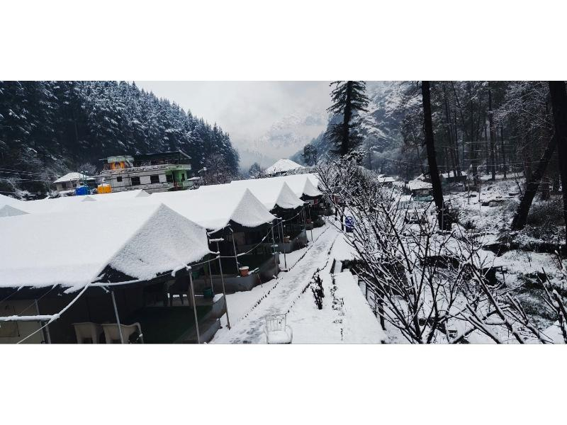 North Deodar Camps, Kasol x Solis Nature