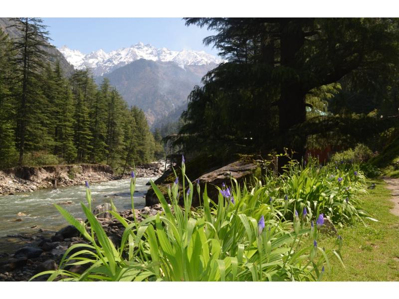Kasol Camps | Huts & Cottages x Solis Nature