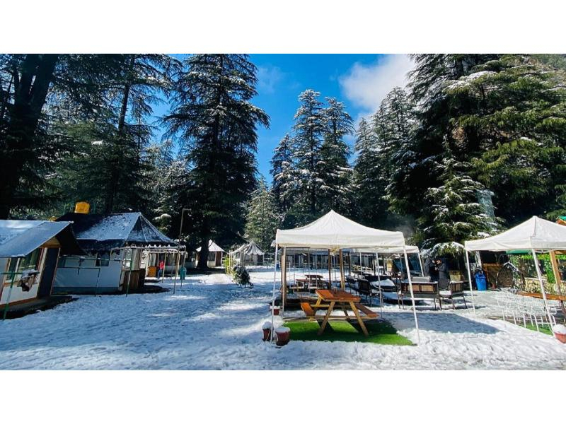 Kasol Camps | Huts & Cottages x Solis Nature