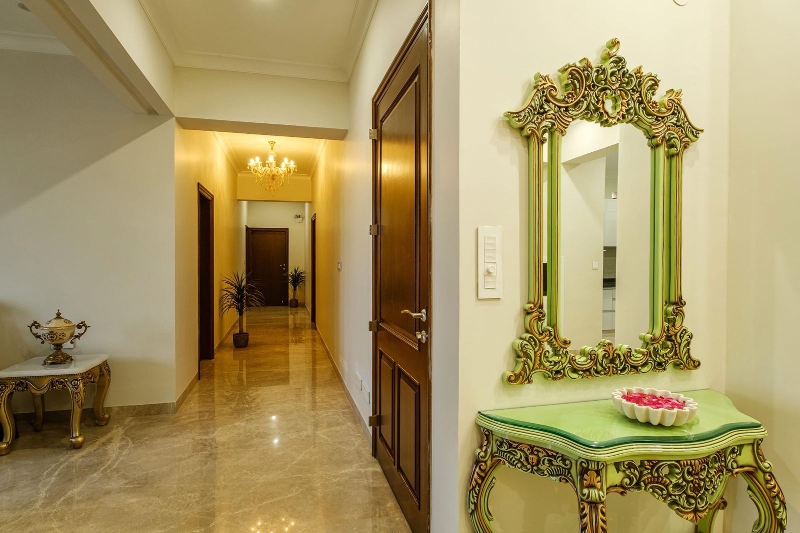 Palm 34 Jaipur x Solis Nature
