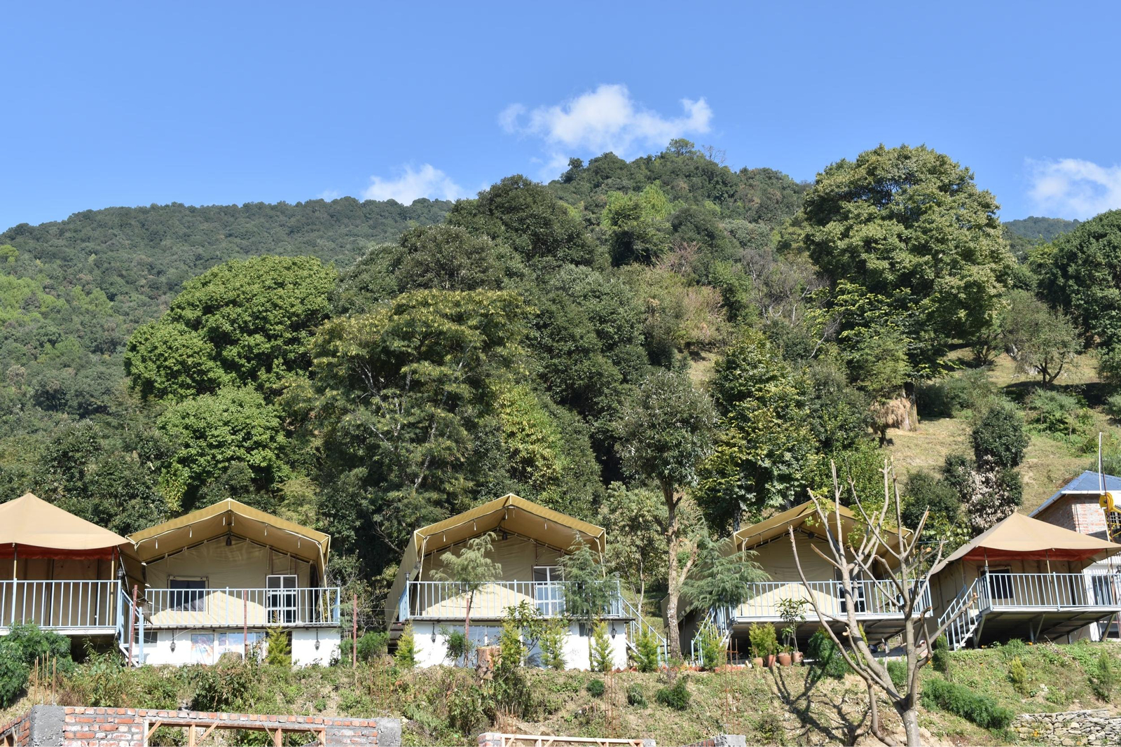 Camp Cedar x Solis Nature