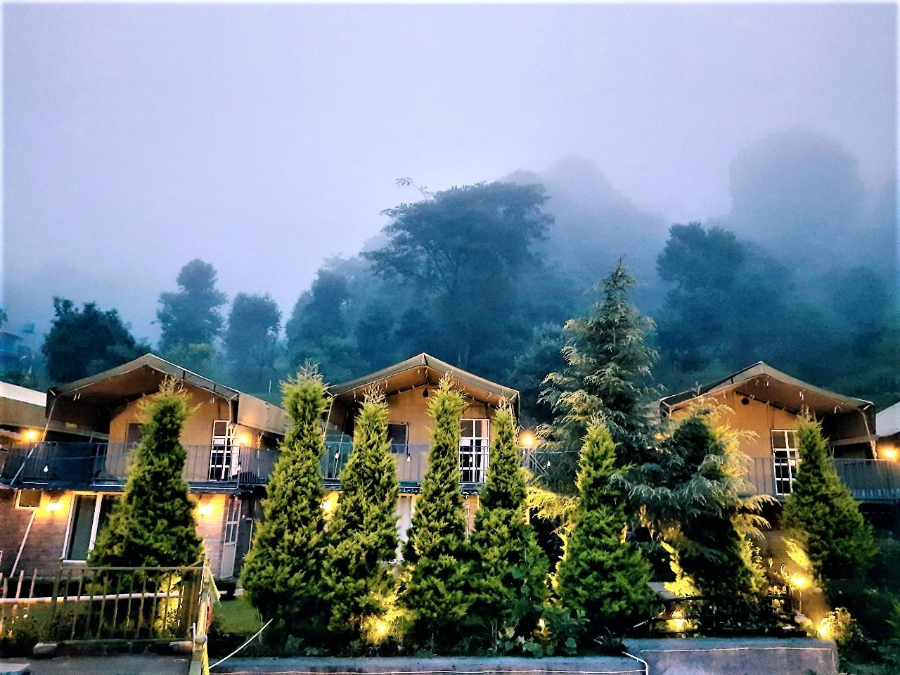 Camp Cedar x Solis Nature