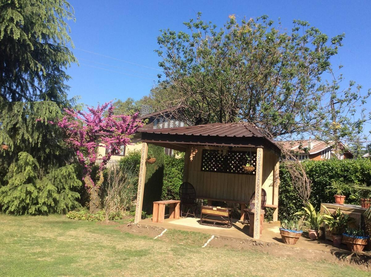 The Cottage Nigeen x Solis Nature