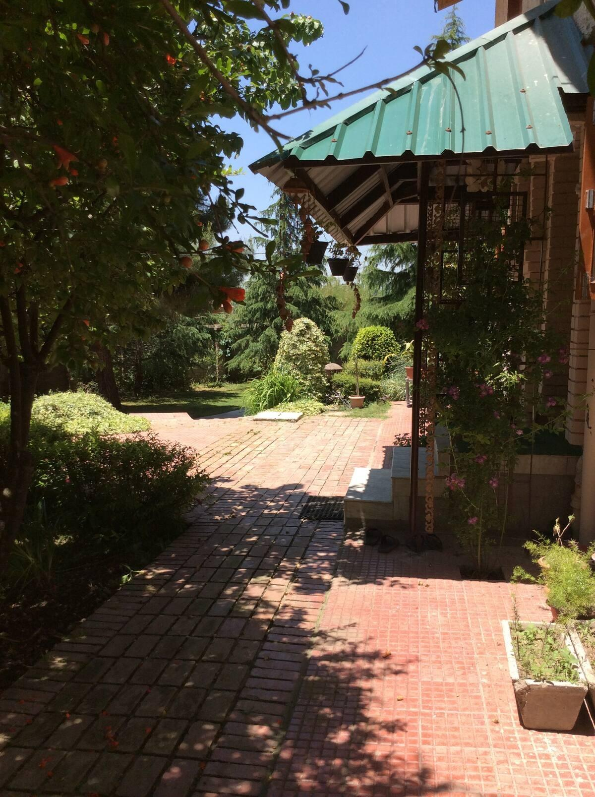 The Cottage Nigeen x Solis Nature