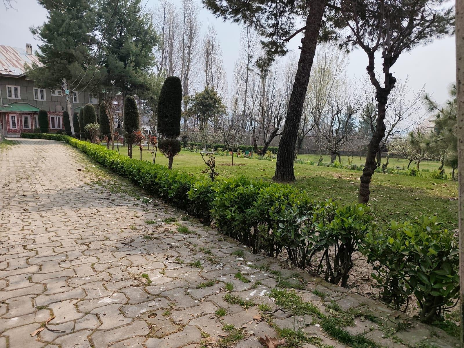 Nature's Harmony near Dal Lake x Solis Nature