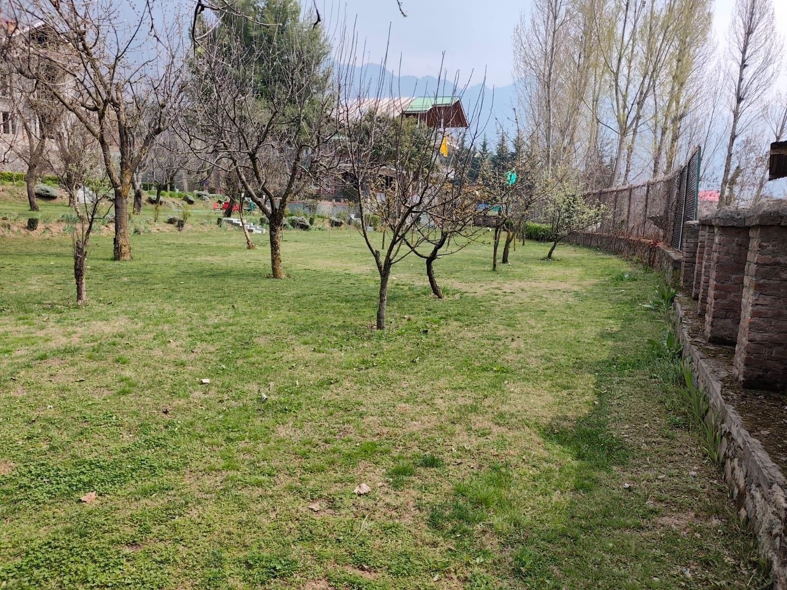 Nature's Harmony near Dal Lake x Solis Nature