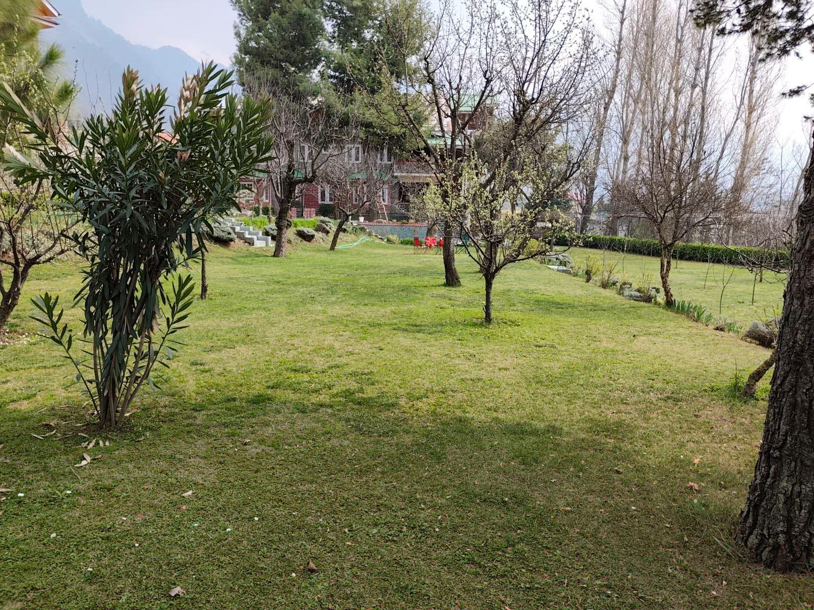 Nature's Harmony near Dal Lake x Solis Nature
