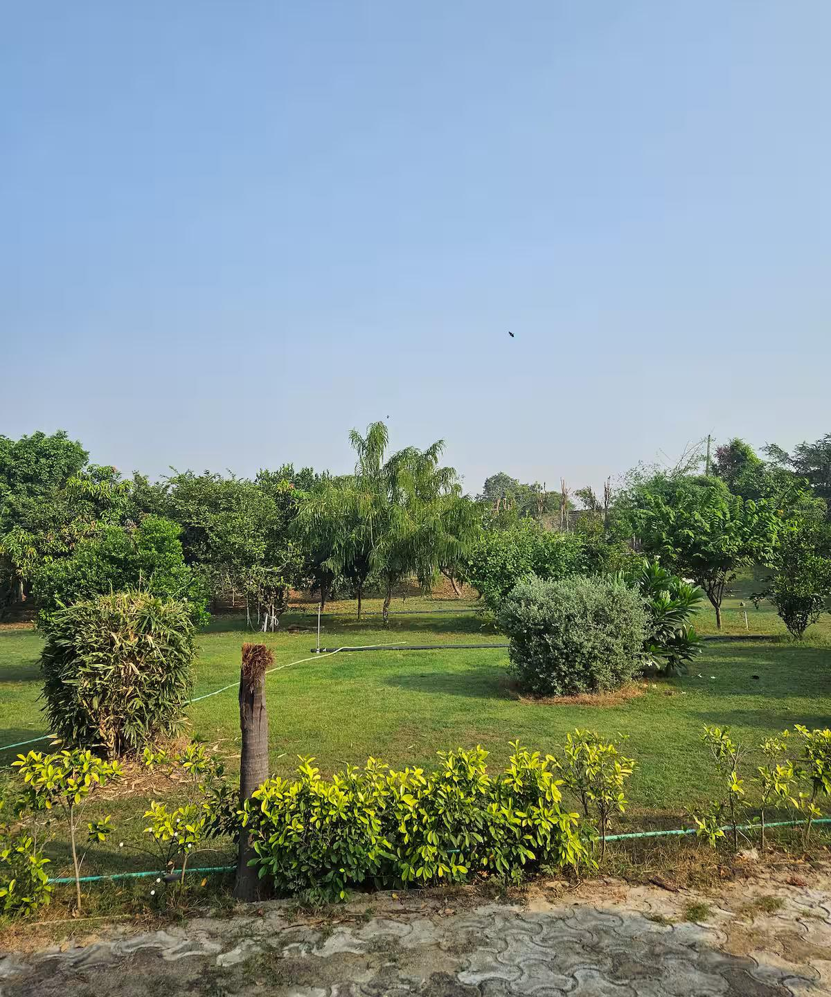 Ekant Farm x Solis Nature