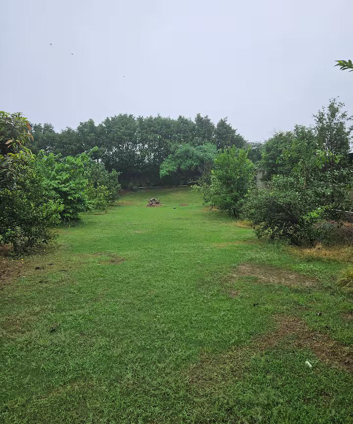 Ekant Farm x Solis Nature