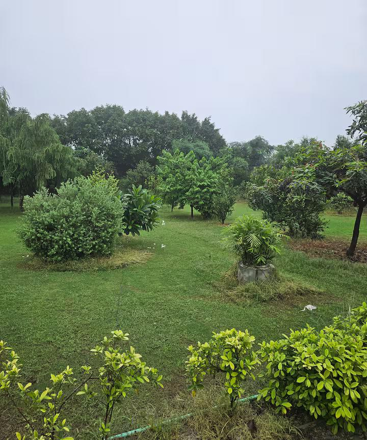 Ekant Farm x Solis Nature