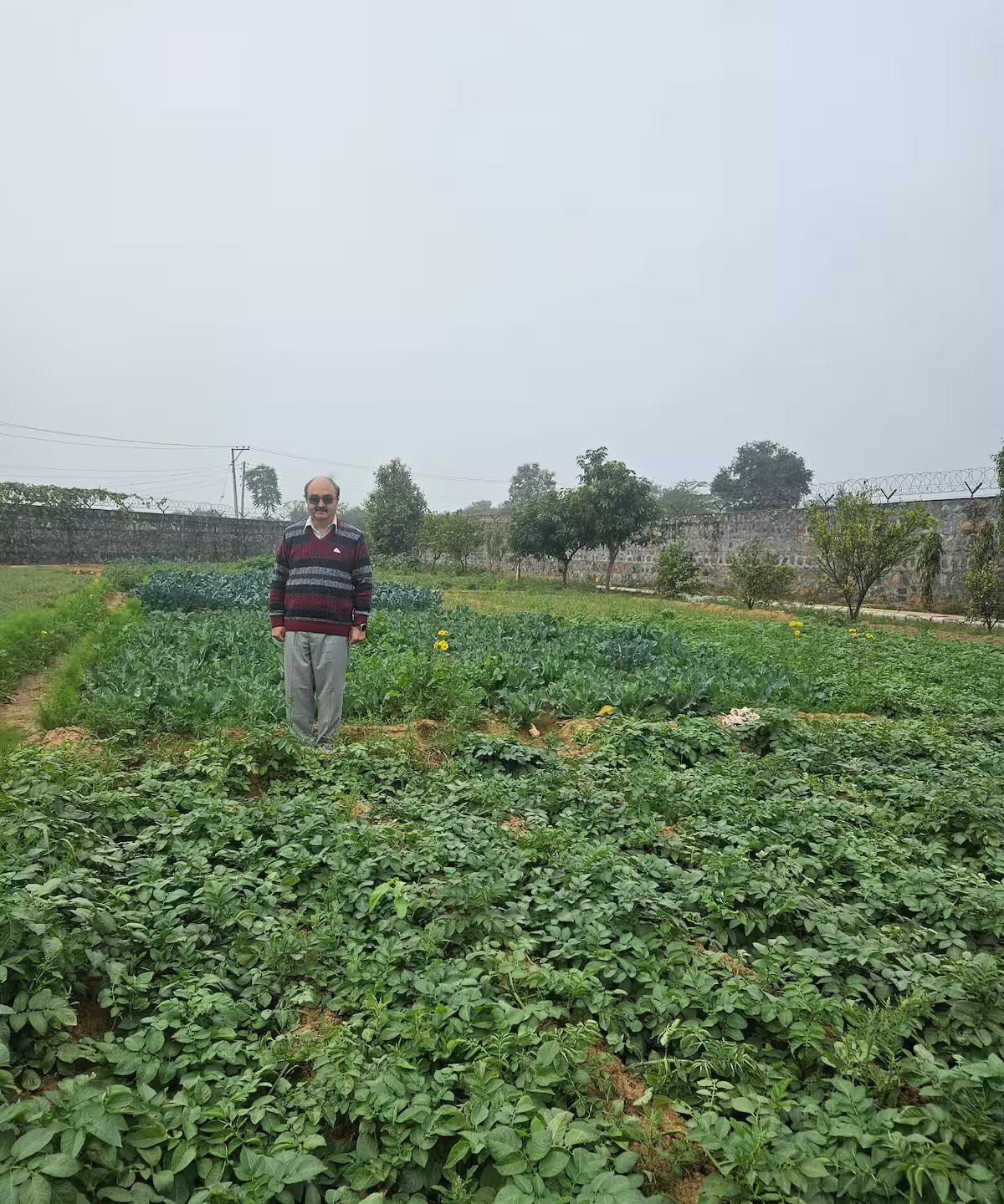 Ekant Farm x Solis Nature