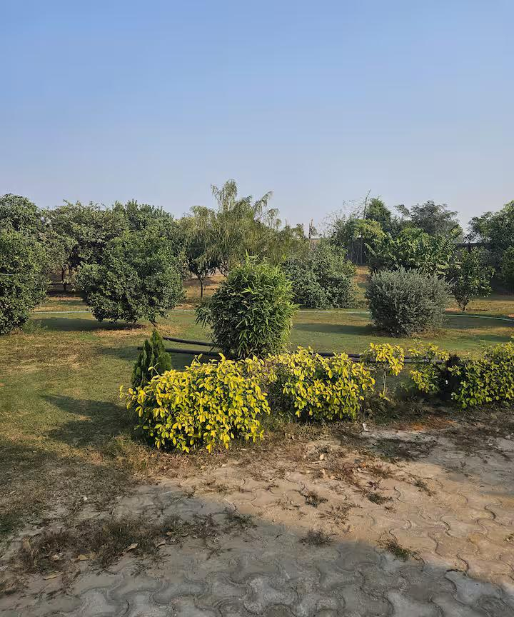 Ekant Farm x Solis Nature