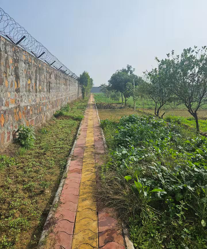 Ekant Farm x Solis Nature