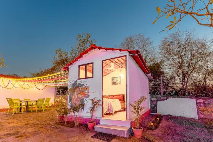 The jungle huts x Solis Nature