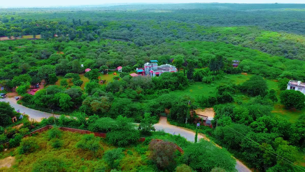 The jungle huts x Solis Nature