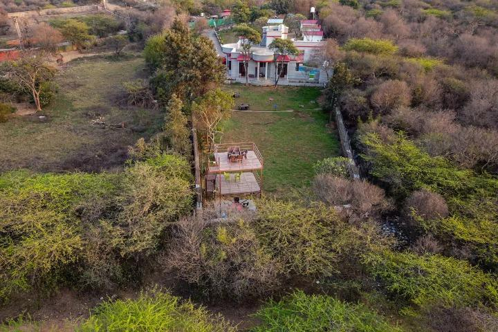 The jungle huts x Solis Nature