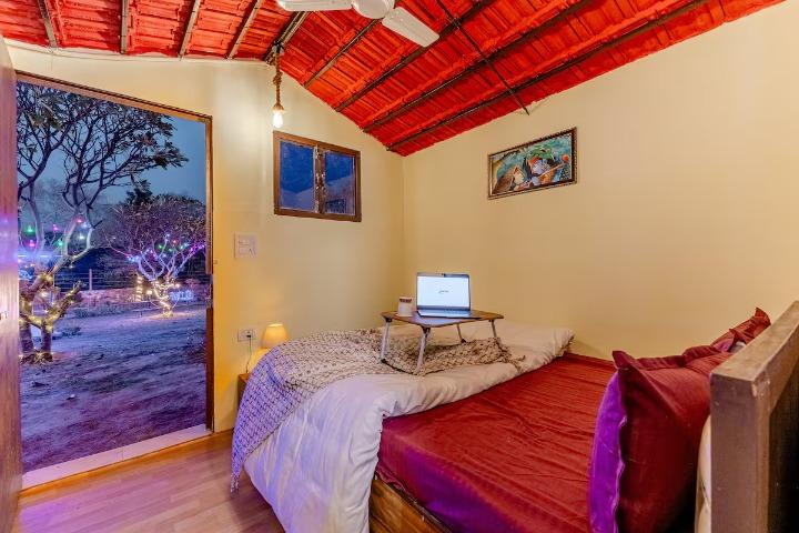 The jungle huts x Solis Nature