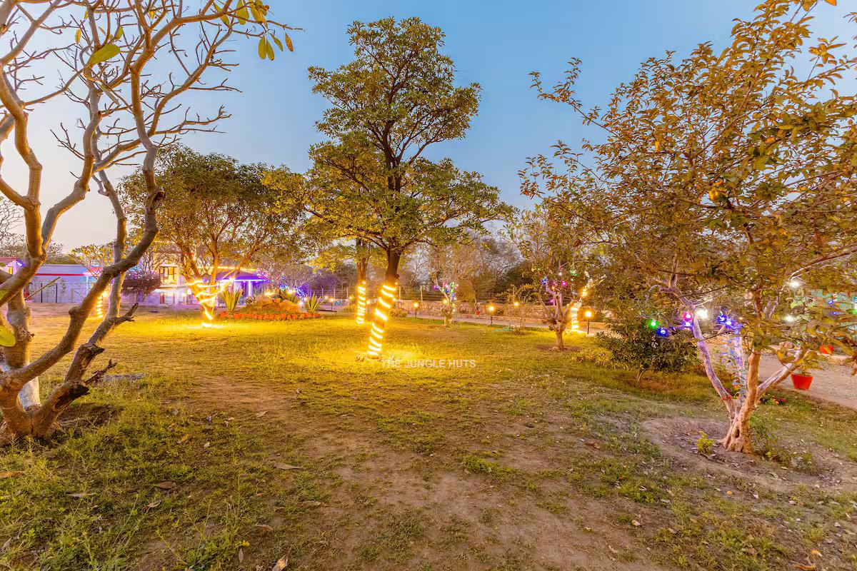 The jungle huts x Solis Nature