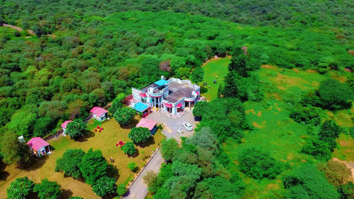 The jungle huts x Solis Nature