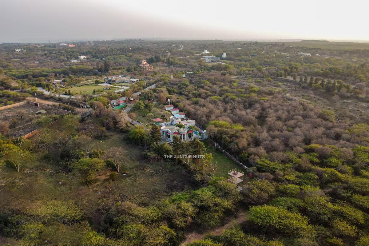 The jungle huts x Solis Nature