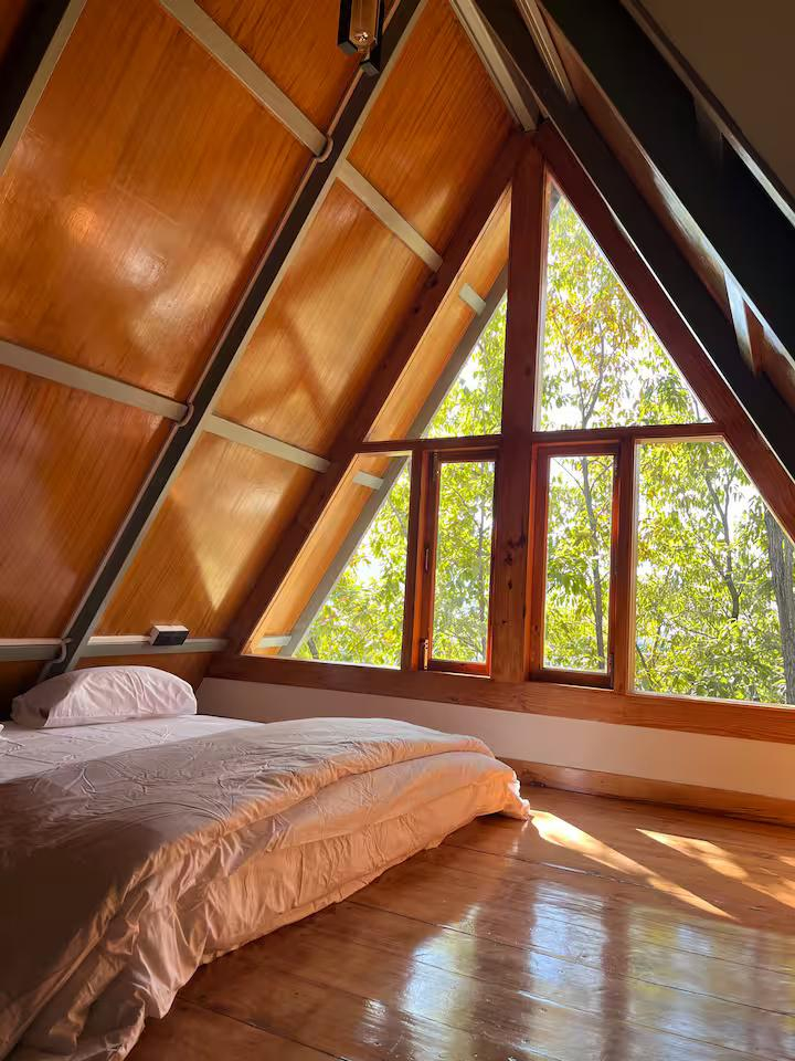 Manipuri oak stay in (A frame cabin) x Solis Nature Manipuri oak stay in (A frame cabin) x Solis Nature