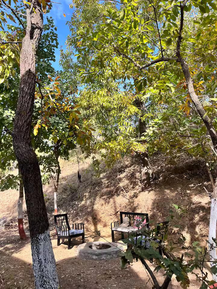 Manipuri oak stay in (A frame cabin) x Solis Nature Manipuri oak stay in (A frame cabin) x Solis Nature