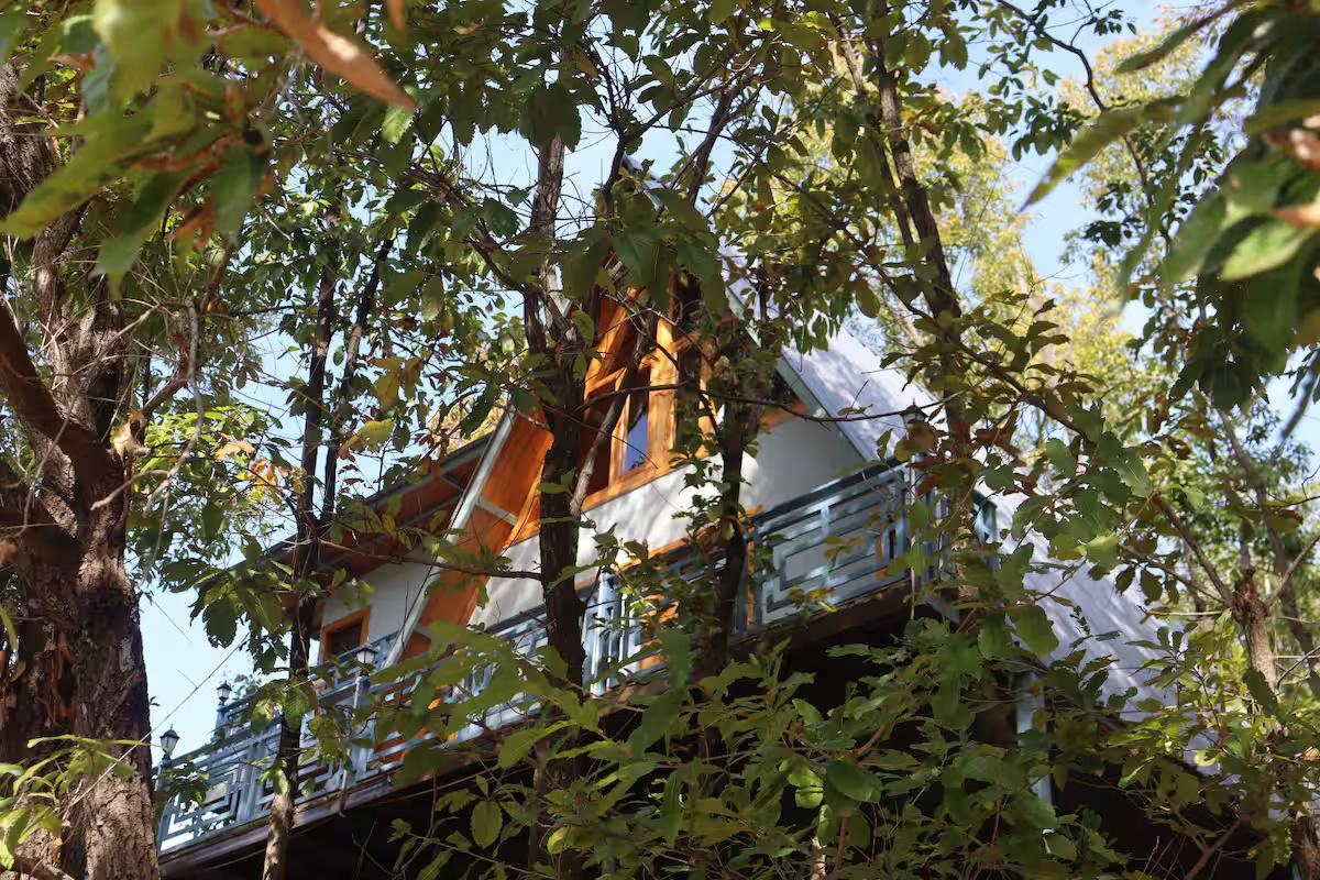Manipuri oak stay in (A frame cabin) x Solis Nature Manipuri oak stay in (A frame cabin) x Solis Nature