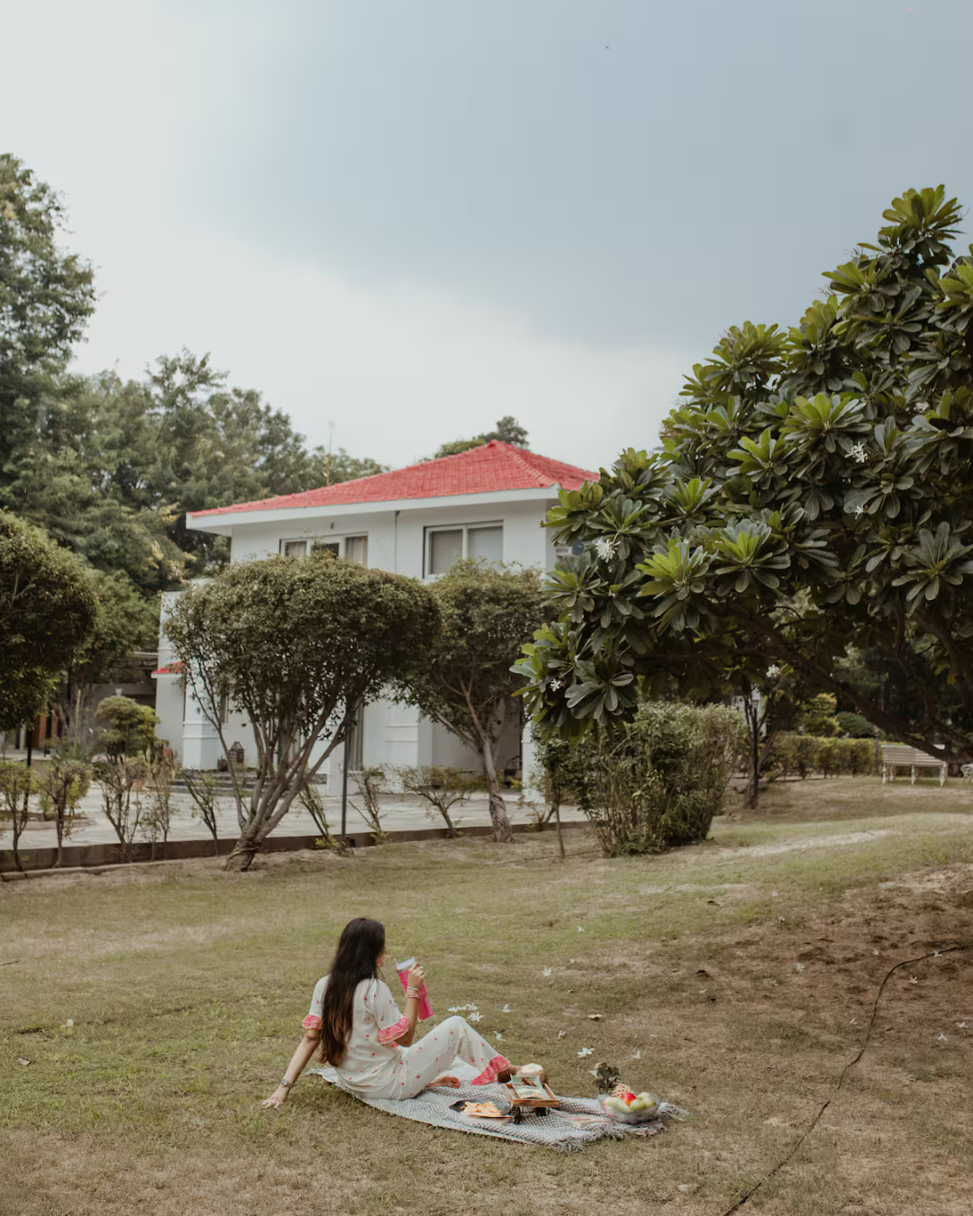 Starlit Solace farm x Solis Nature