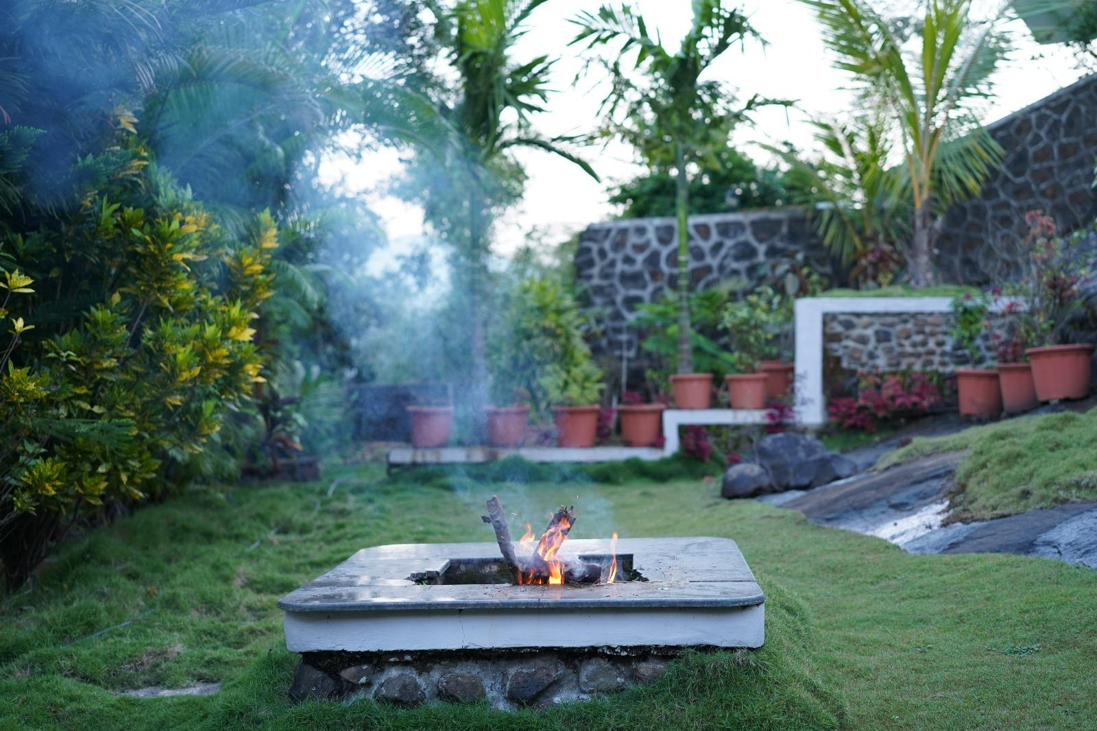 Yahvi The Forest Abode x Solis Nature Yahvi The Forest Abode x Solis Nature