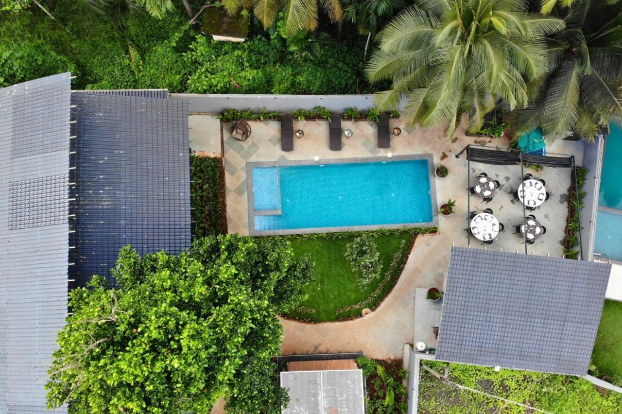 Elnora Bed & Breakfast x Solis Nature