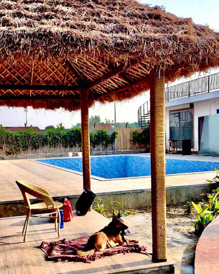 Khwaab Farmhouse for pool party, wedding, events (NCR) x Solis Nature
