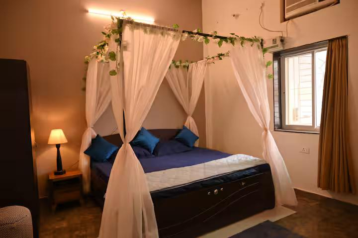 The MiNi Nest x Solis Nature