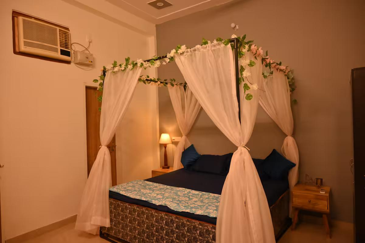 The MiNi Nest x Solis Nature