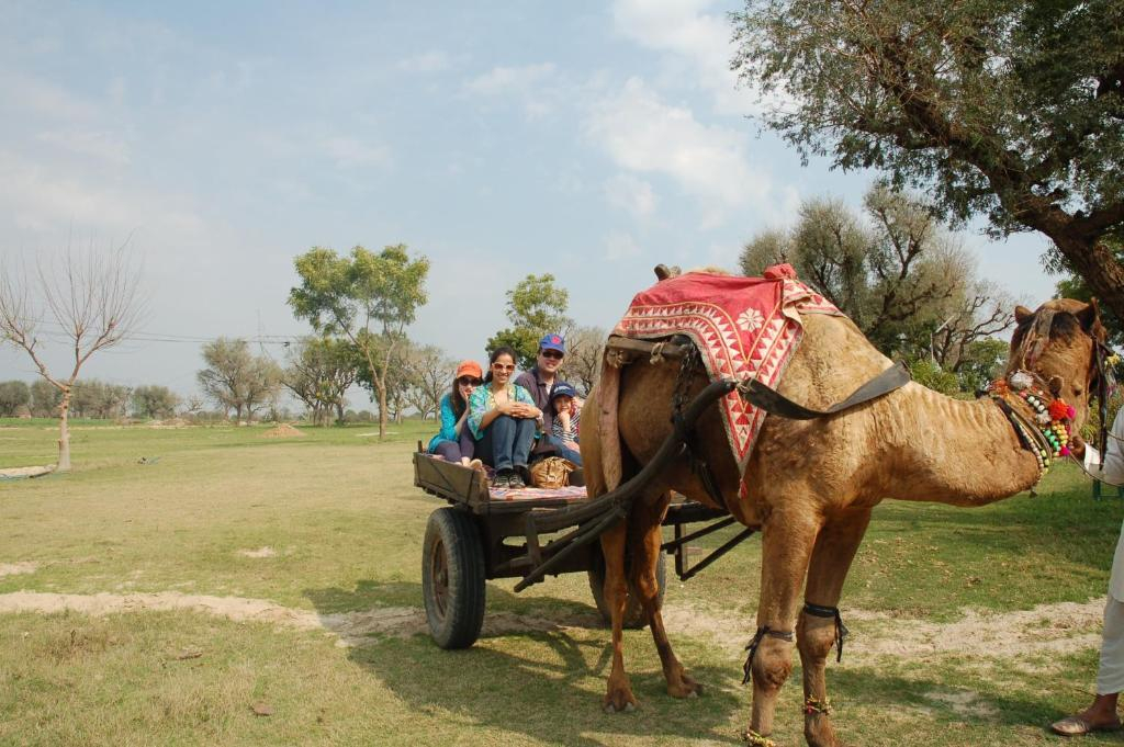 Savista Retreat x Solis Nature