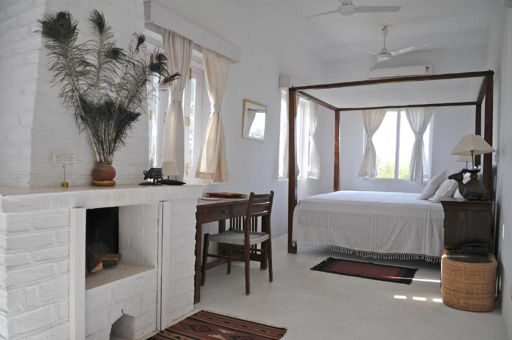 Savista Retreat x Solis Nature