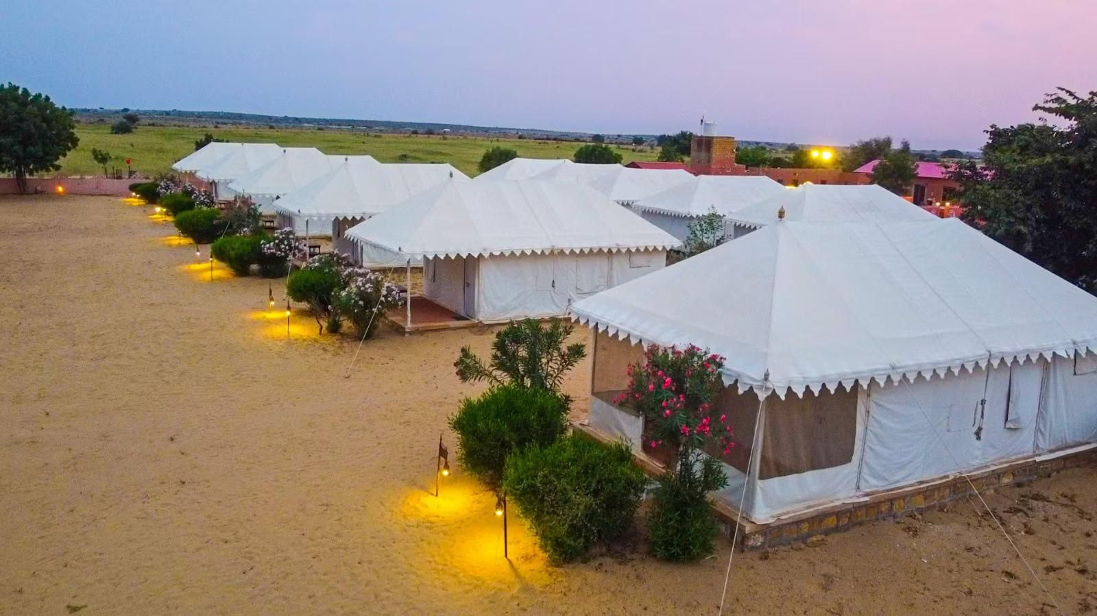 Sunny Desert Camp x Solis Nature