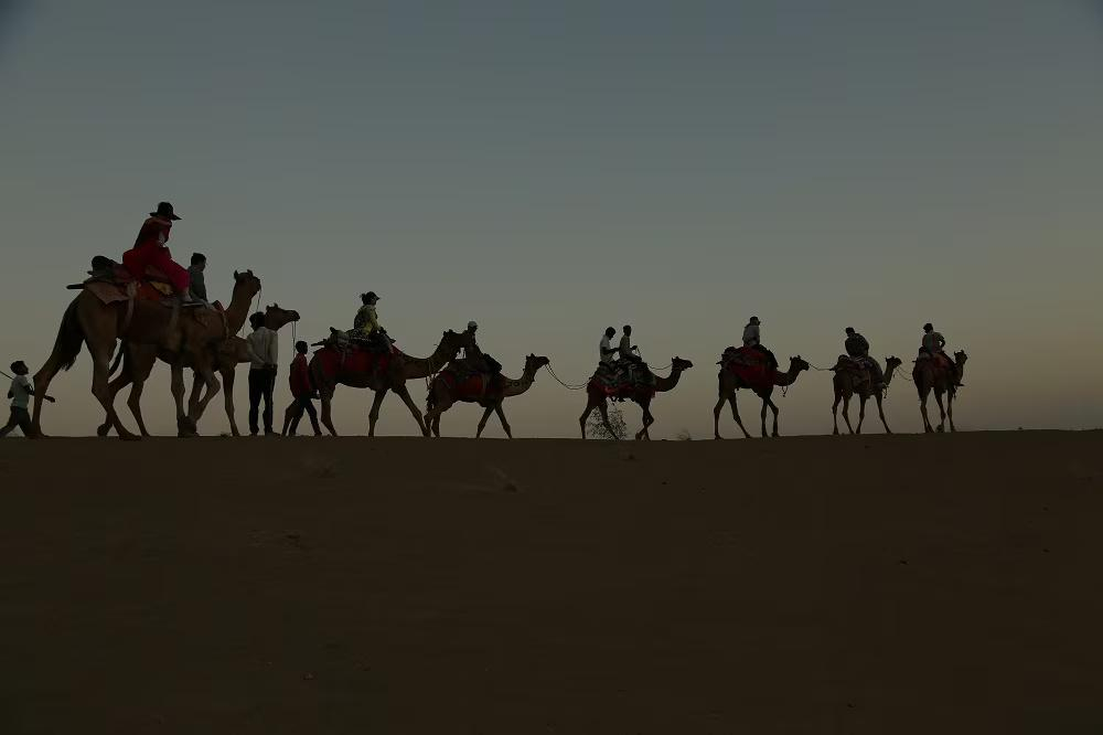 Sunny Desert Camp x Solis Nature