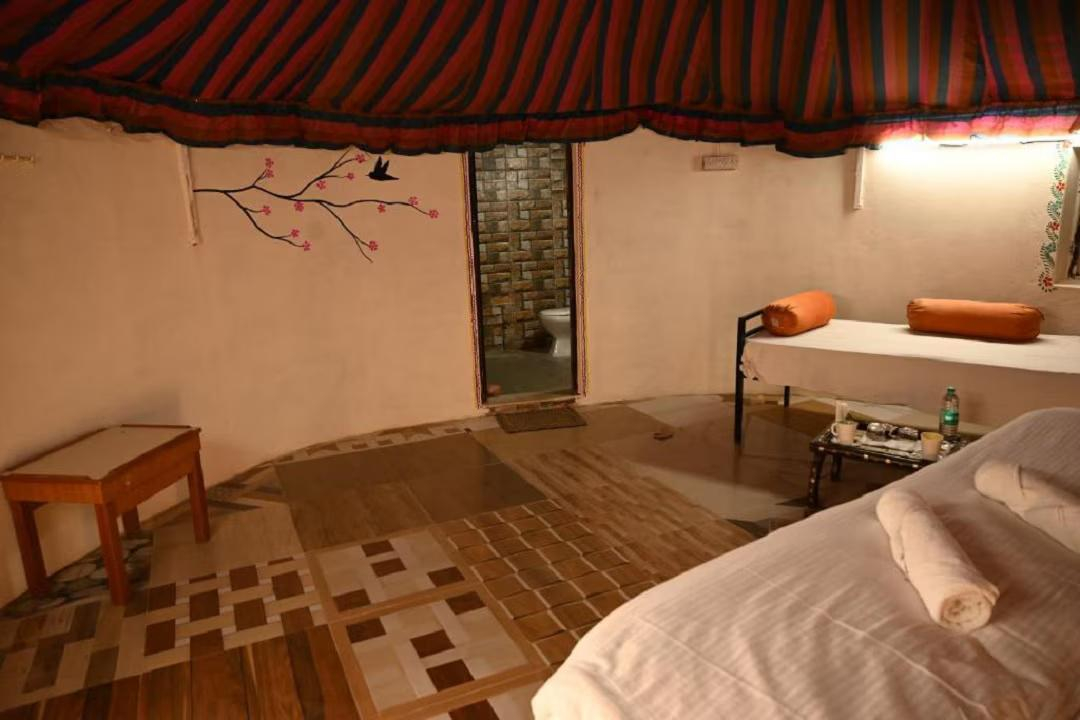 Sunny Desert Camp x Solis Nature