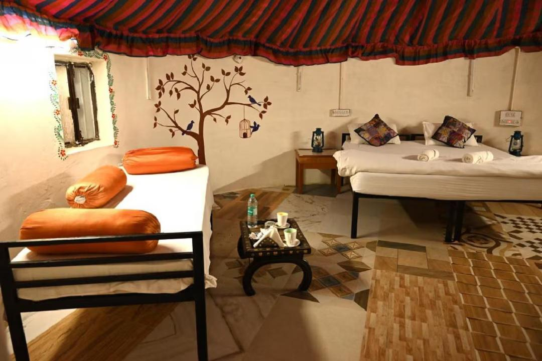 Sunny Desert Camp x Solis Nature