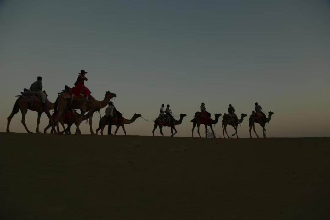 Sunny Desert Camp x Solis Nature