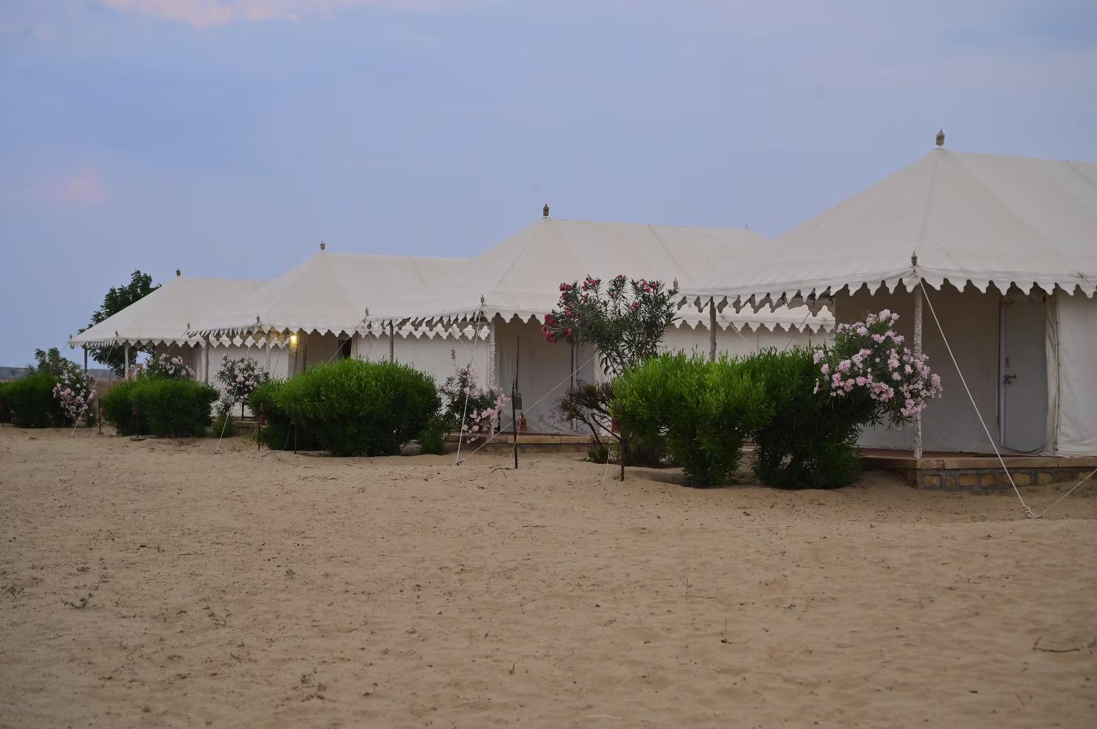 Sunny Desert Camp x Solis Nature